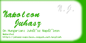 napoleon juhasz business card